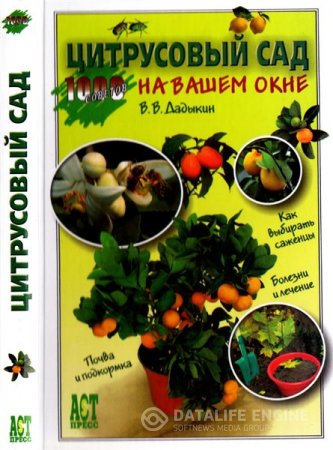 Обложка к В.В. Дадыкин. Цитрусовый сад на вашем окне (2006) PDF