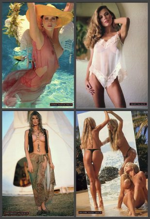 Обложка к Playboy's Nude Celebrities (September 1995)